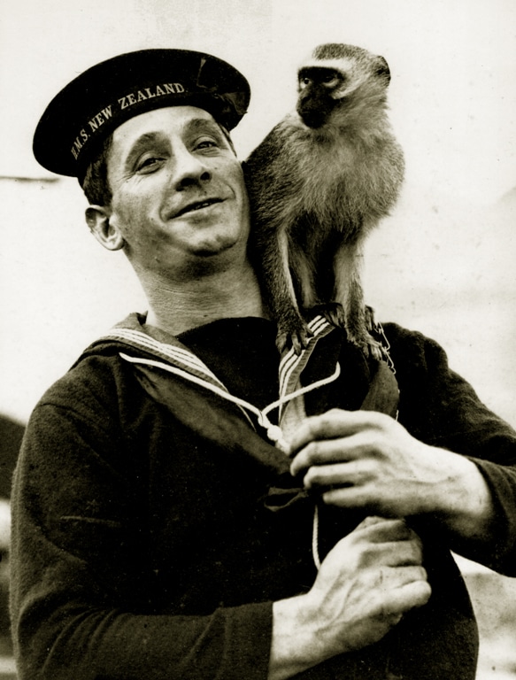 A rating from HMS New Zealand holds a monkey on his shoulder