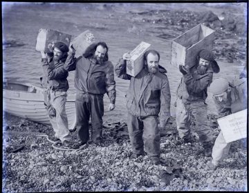 Tudor Collins at Macquarie Island