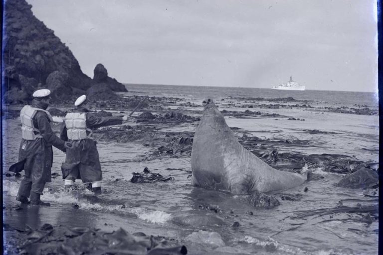2013_70_1151 Tudor Collins at Macquarie Island