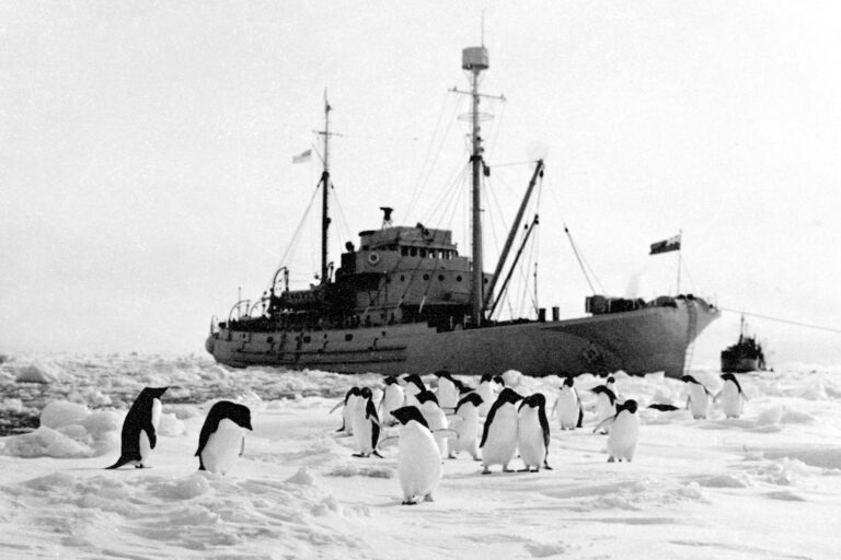 ABC 0017 HMNZS Endeavour in Antartica HMNZS Endeavour in Antartica with penguins in the foreground