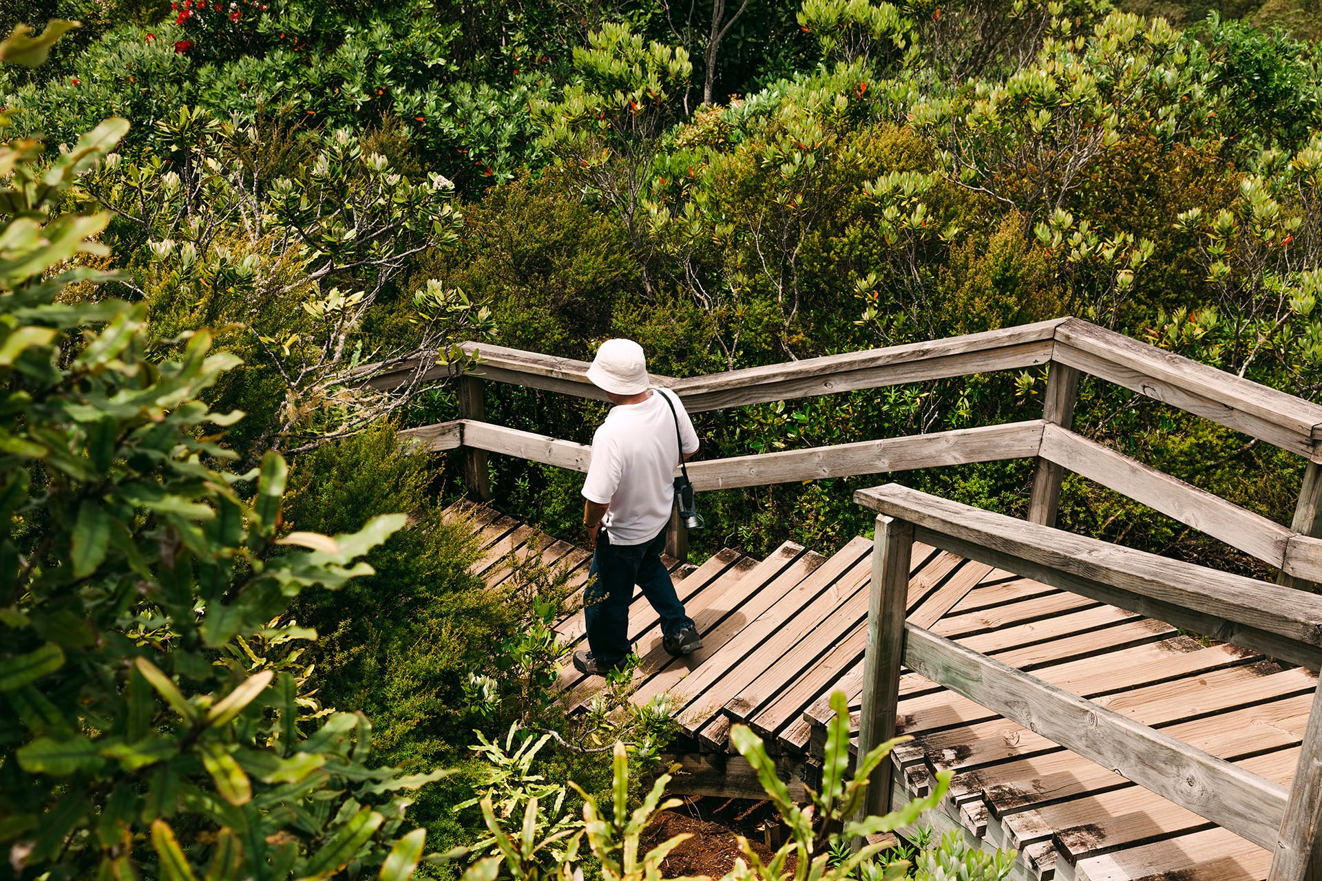 Hiker walking on Rangitoto Island