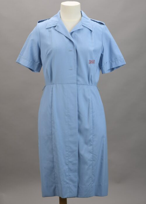 WRNZNS blue work dress. CAQ 0011_001