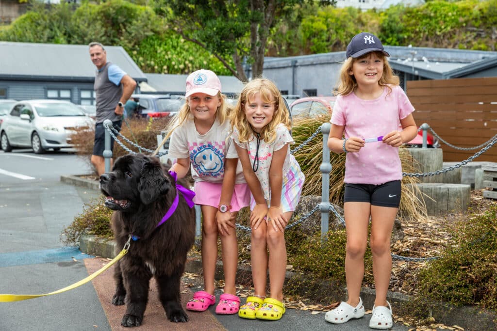 Join the museum team and Devonport RSA to commemorate Purple Poppy Day Sun 22nd Feb.