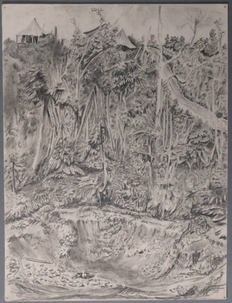 Pencil drawing of a bomb crater on New Georgia Island, Solomon Islands, 1944, by Miles Spence.