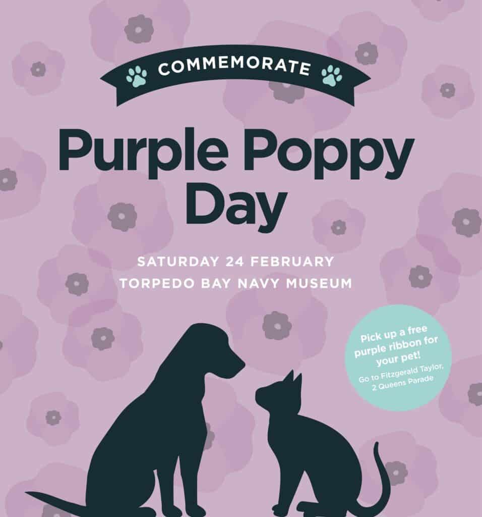 Join us to commemorate Purple Poppy Day - recognising animals who have served or are serving in conflicts.