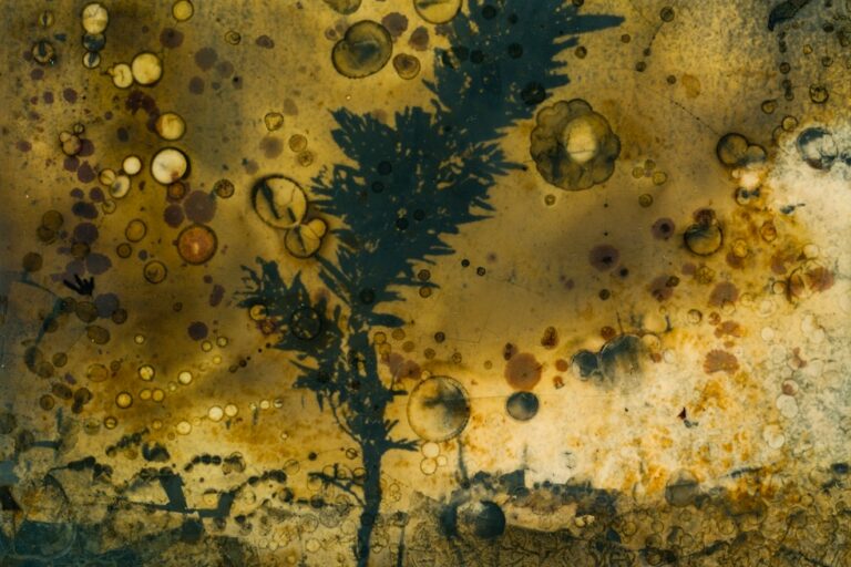 Tides of Change – by Linda Jarrett